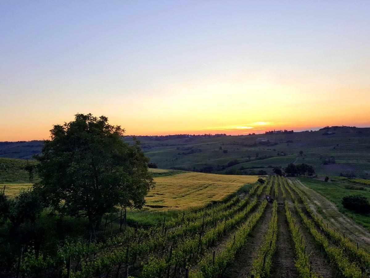 La Terrazza Sui Vigneti-Rovescala Bed & Breakfast San Damiano al Colle Dış mekan fotoğraf