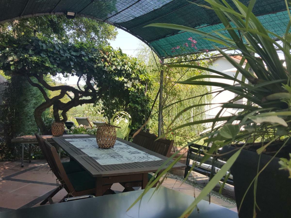 La Terrazza Sui Vigneti-Rovescala Bed & Breakfast San Damiano al Colle Dış mekan fotoğraf