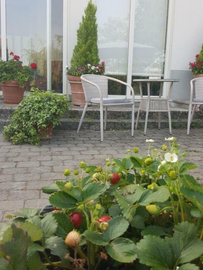 La Terrazza Sui Vigneti-Rovescala Bed & Breakfast San Damiano al Colle Dış mekan fotoğraf