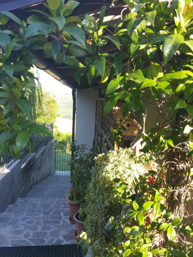 La Terrazza Sui Vigneti-Rovescala Bed & Breakfast San Damiano al Colle Dış mekan fotoğraf